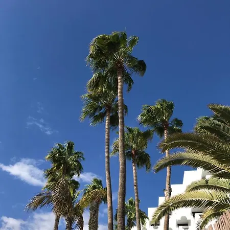 Exclusives 10 Meters To Ocean * מספאלומס
